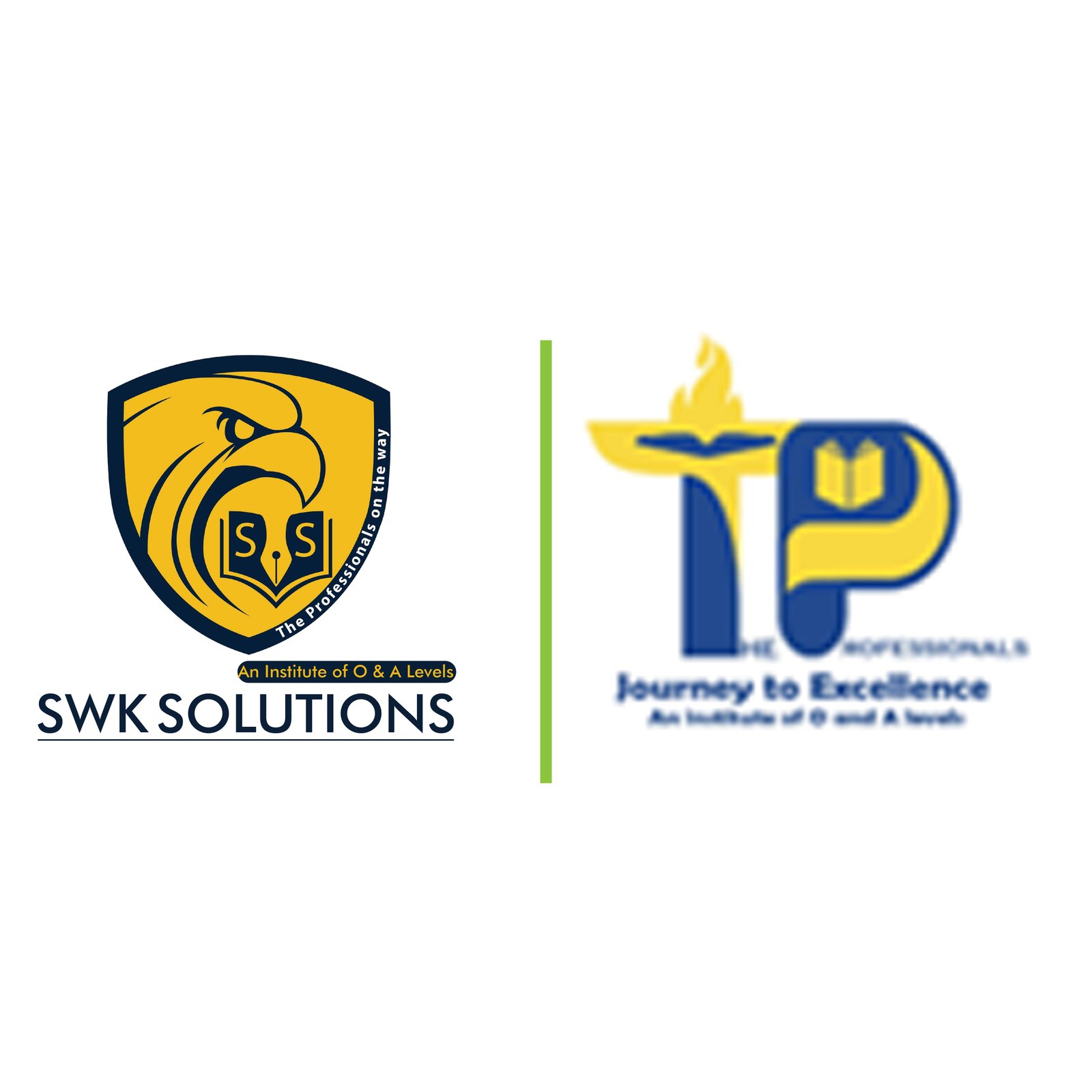 SWK Solutions and The Professionals logos